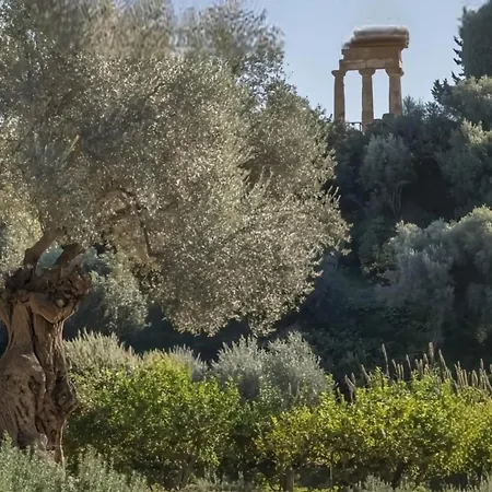 Nido Siciliano
